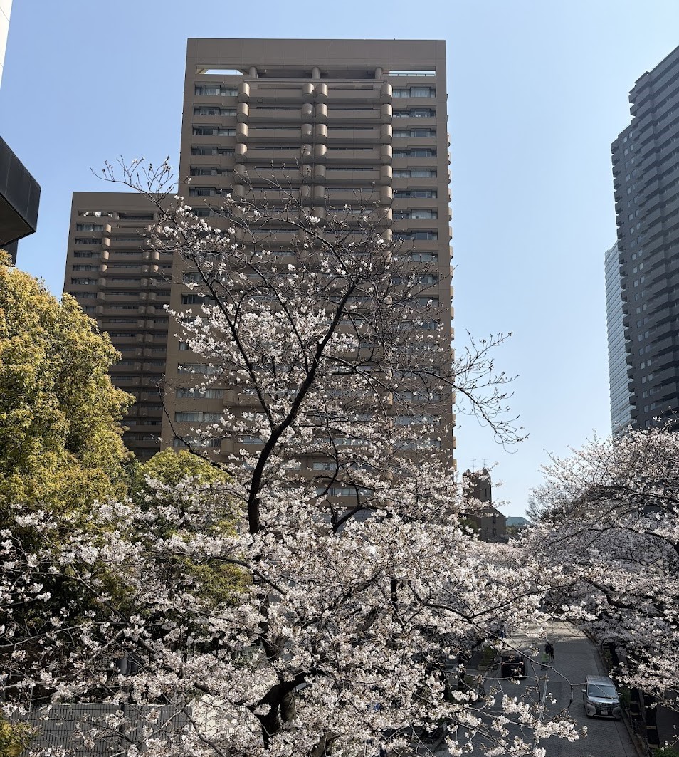 %e5%a4%96%e8%a6%b3%e5%86%99%e7%9c%9fr8-3-29